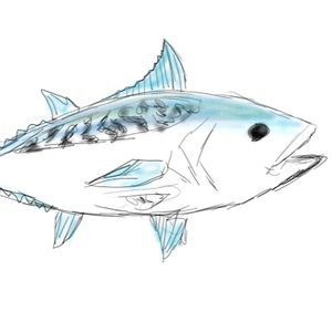 Meet your Posher, Graham